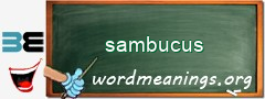 WordMeaning blackboard for sambucus